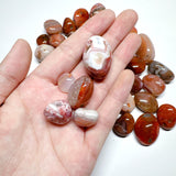 Red Agate Tumbles Lot