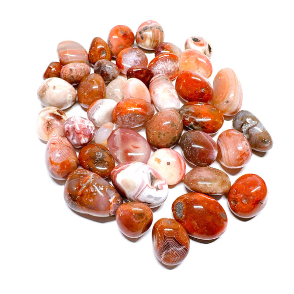 Red Agate Tumbles Lot