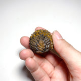 Tigers Eye Hedgehog Carving