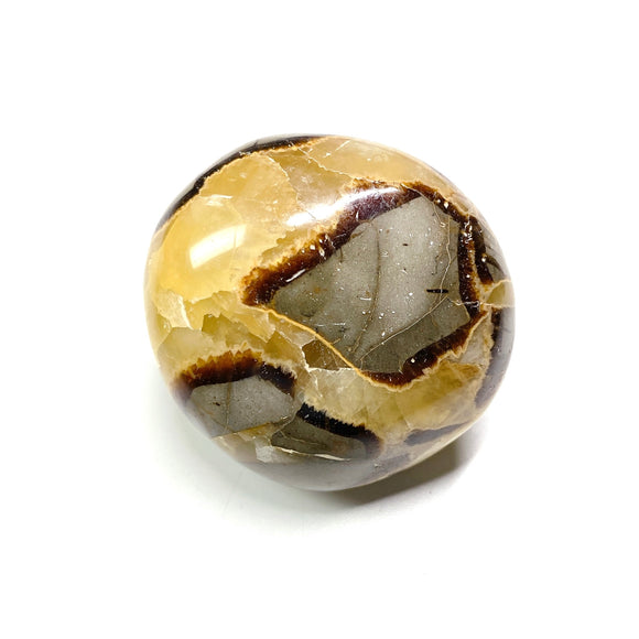 Septarian Palmstone