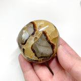 Septarian Palmstone