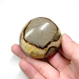 Septarian Palmstone