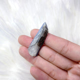 Small Kyanite Freeform