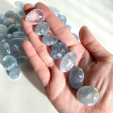 5 Small Celestite Tumbles