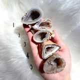 Medium Sized Druzy Agate Geode