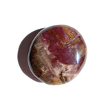 Petrified Wood Palmstone