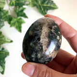 Black Ocean Jasper Palmstone