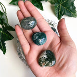 Medium Sized Moss Agate Tumble