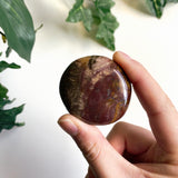 Petrified Wood Palmstone