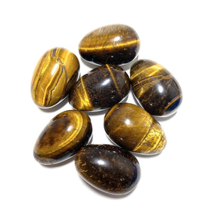 Small Tigers Eye Eggs