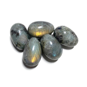 5 Small Labradorite Eggs