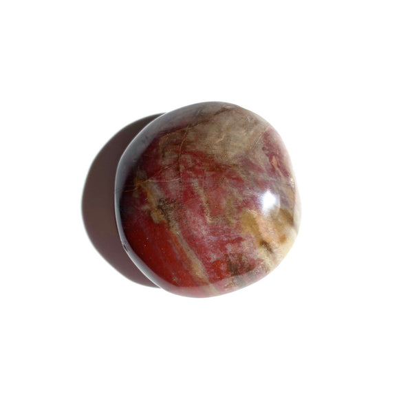 Petrified Wood Palmstone