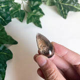 Garden Quartz Teardrop