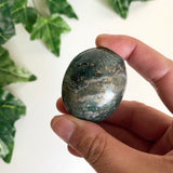 Green Ocean Jasper Palmstone