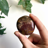 Petrified Wood Palmstone