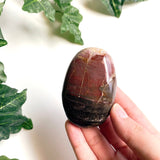 Petrified Wood Palmstone