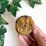 Tigers Eye Moon Carving