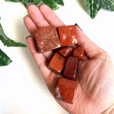 Red Jasper Cubes