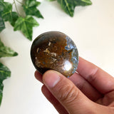 Ocean Jasper Palmstone