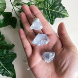 Raw Celestite Chip