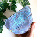 Large Blue Labradorite Freeform