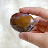 Ocean Jasper Palmstone