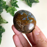 Ocean Jasper Palmstone