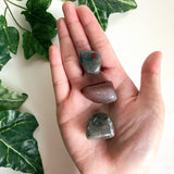 5 Bloodstone Jasper Tumbles