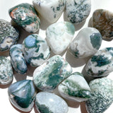 Tree Agate Tumble