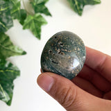 Green Ocean Jasper Palmstone