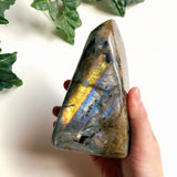 Yellow Labradorite Freeform