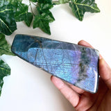 Flashy Blue Labradorite Freeform