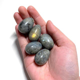 5 Small Labradorite Eggs