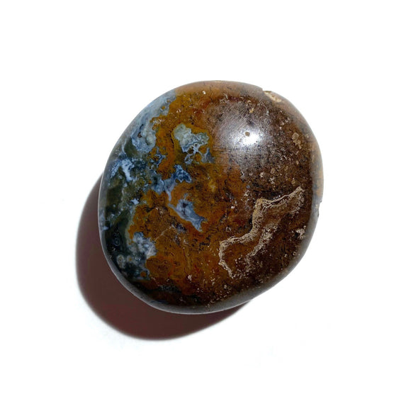 Ocean Jasper Palmstone