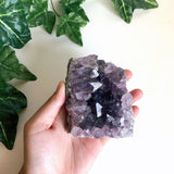 Amethyst Geode