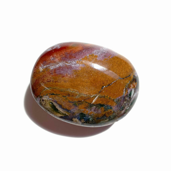 Ocean Jasper Palmstone