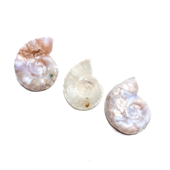 Flower Agate Shell Carving